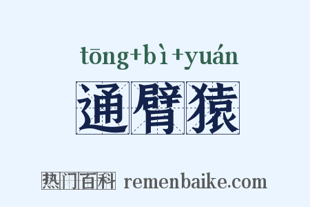 通臂猿是什么意思的图片